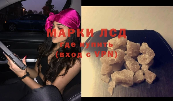 apvp Алзамай