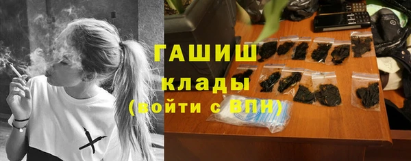 apvp Алзамай